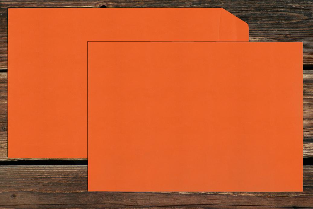 Versandtaschen 220x312 mm Nassklebend Dunkelorange 120 g/qm